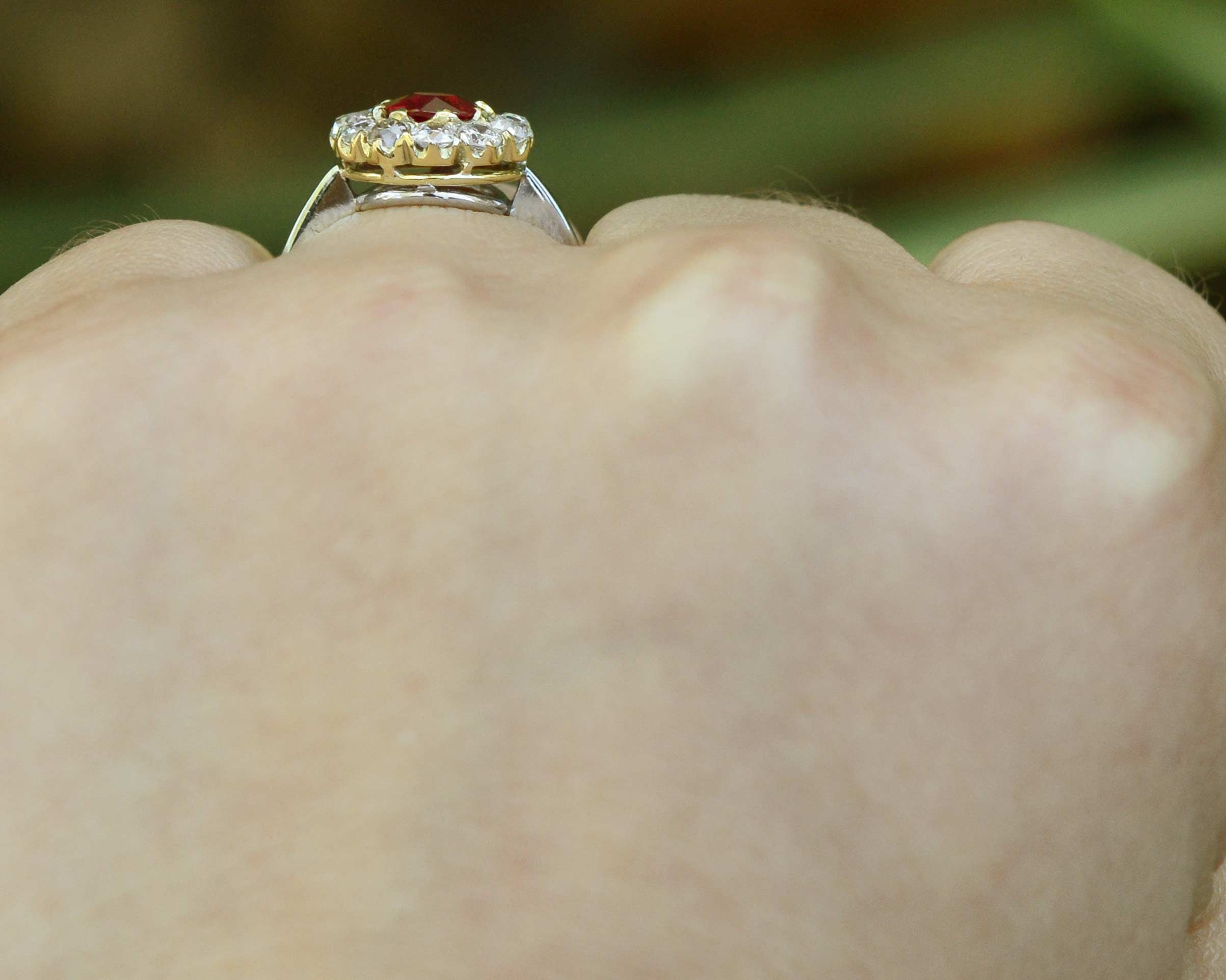 A two tone gold and platinum ruby ring, an antique treasure.
