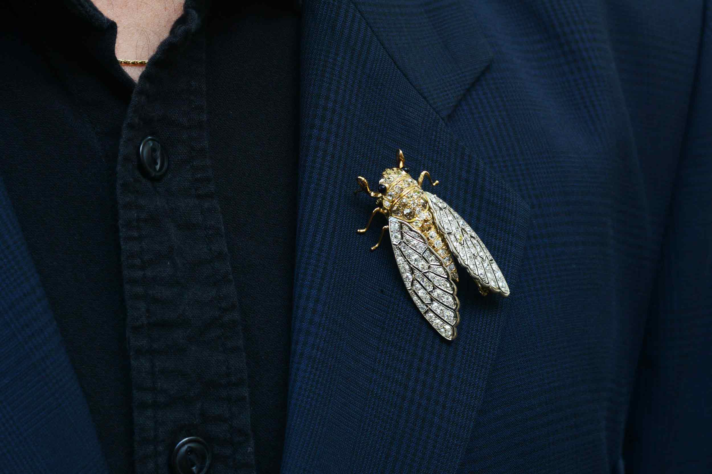 Interesting Insect Cicada Diamond Brooch Pin