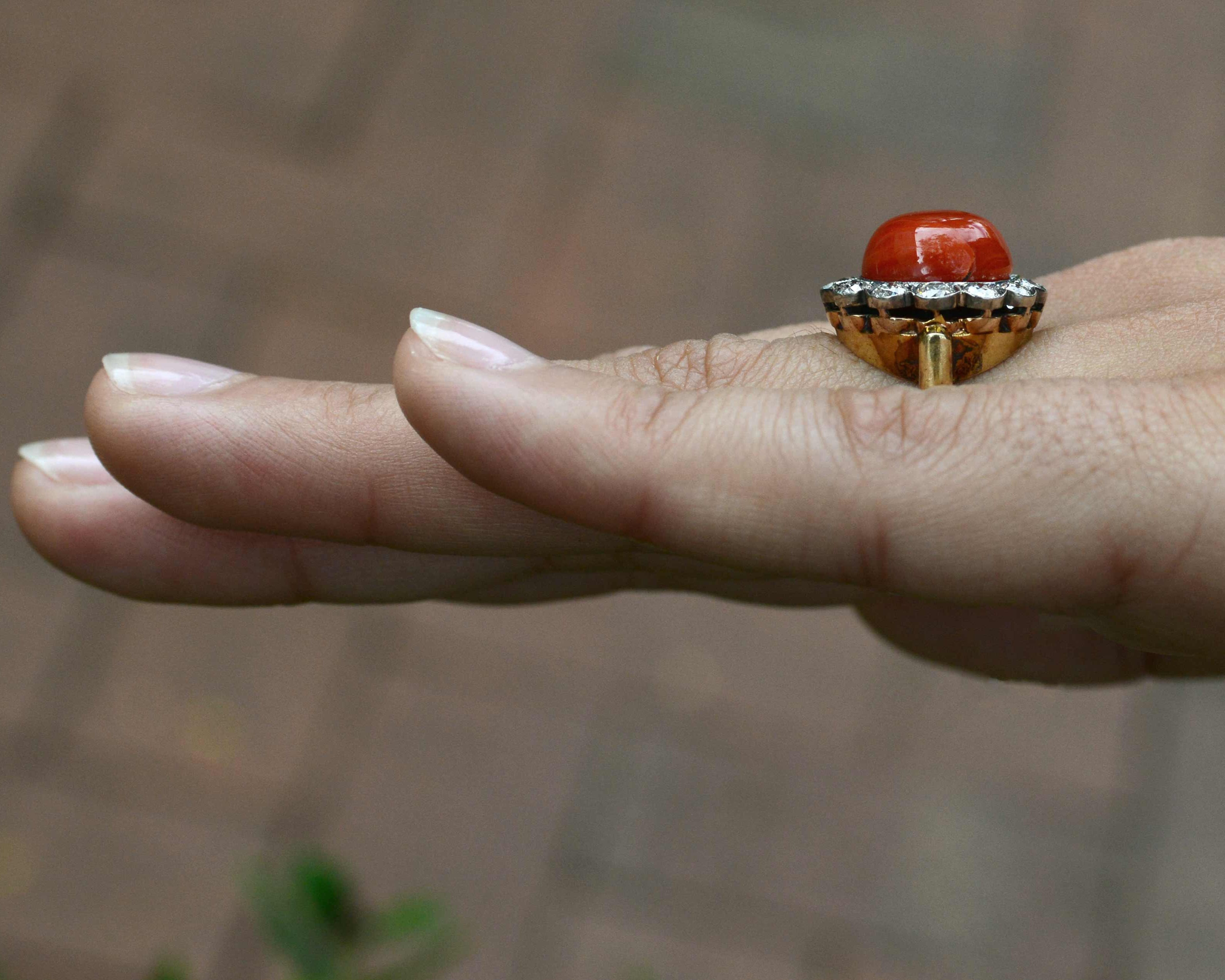 A late 1800's, antique coral dome statement ring.