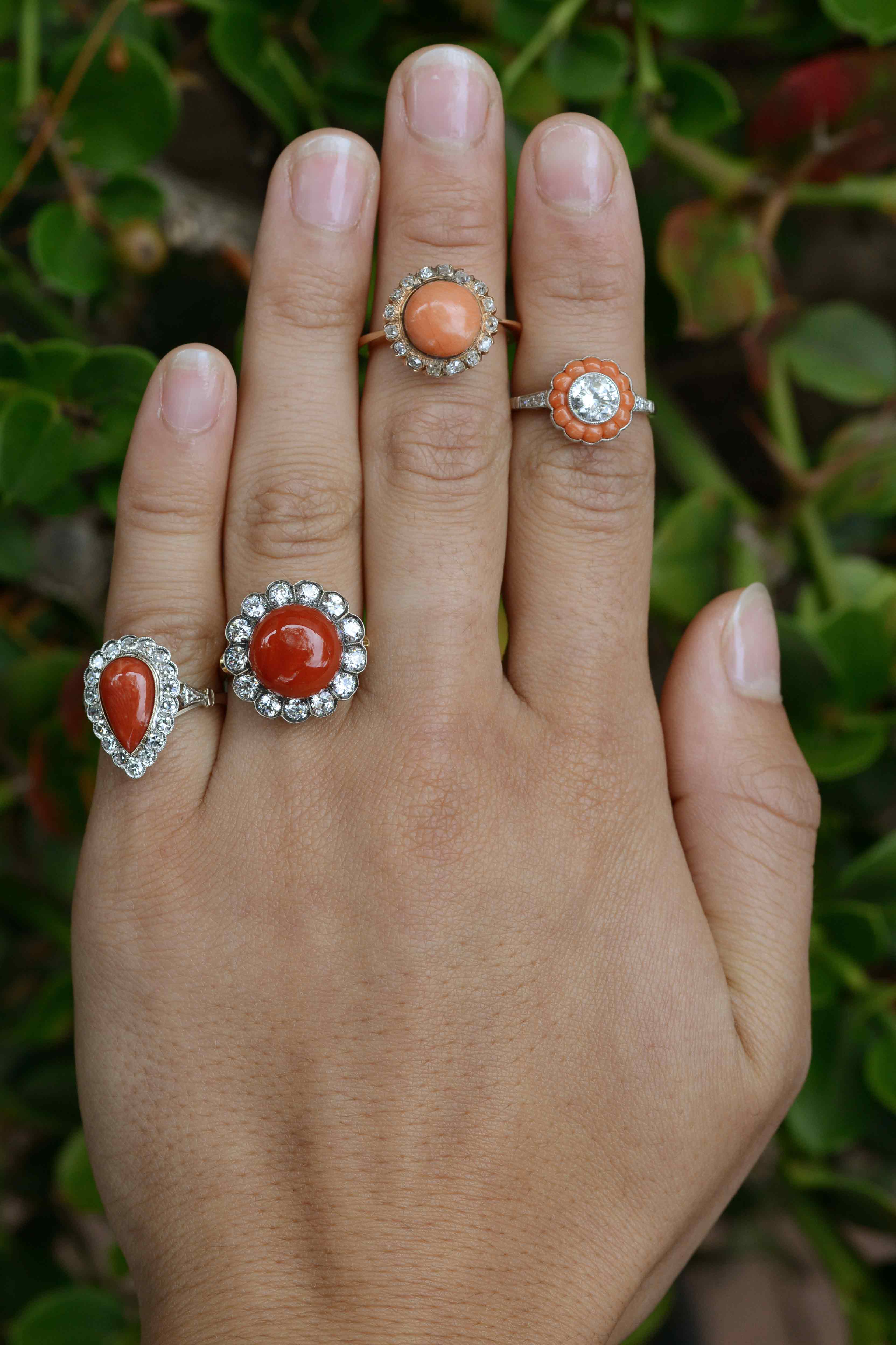 Round coral diamond halo statement rings.