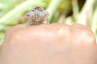 A five carat pear cut morganite ring set in a 14k white gold setting.